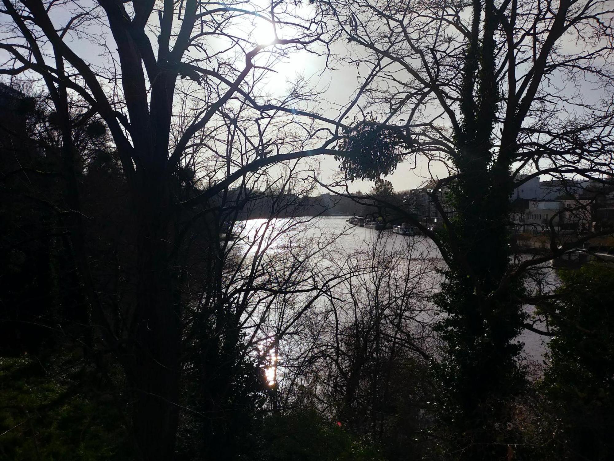 L'Arbre Aux Herons - Panoramique Nantes Wifi Luaran gambar